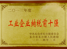 奧凱被評為2013年工(gōng)業(yè)企業(yè)納稅前十強企業(yè)