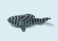 鲨魚嬰兒玩(wán)具